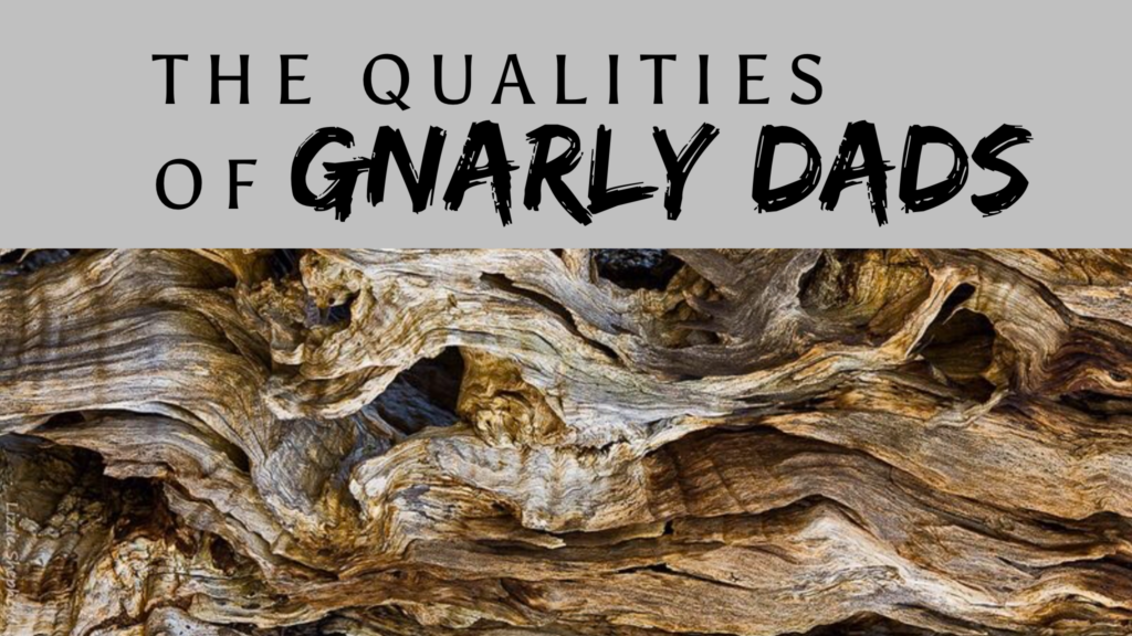 The Qualities of Gnarly Dads